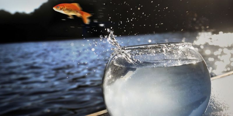 su thanh cong day gian kho cua chang trai tre tuoi Sự thành công đầy gian khó của chàng trai trẻ tuổi